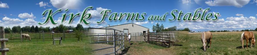 Kirk Stables - Horse Boarding